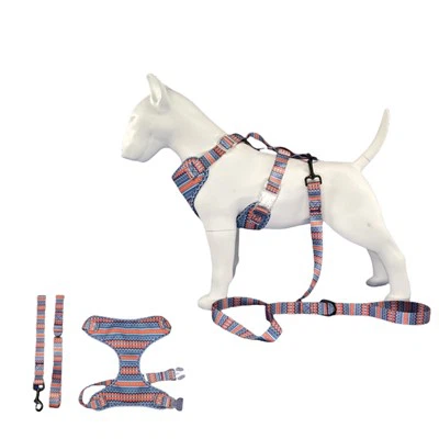 Verstellbares Designer-Hundegeschirr