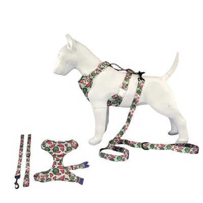 Süßes weiches Hundegeschirr