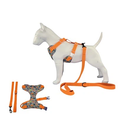 Dinosaurier-Hundegeschirr