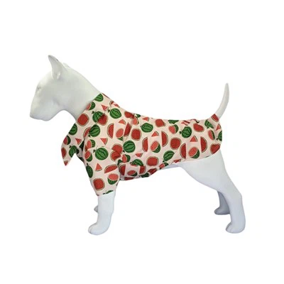 Hundeshirts für kleine Hunde