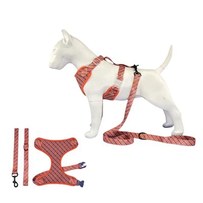 Double Air Mesh Hundegeschirr