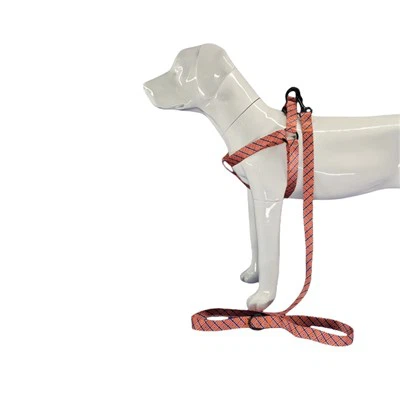 Geometrisches Hundegeschirr