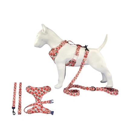 Mädchen-Hundegeschirr