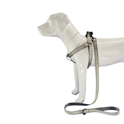 Reflektierendes graues Hundegeschirr