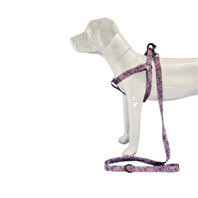 Ribbon Step im Hundegeschirr