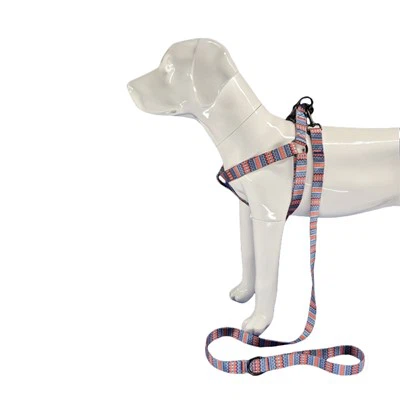 Tribal Bohemian Hundegeschirr