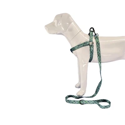 Tropisches Hundegeschirr